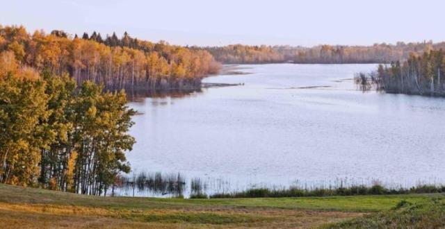 A Serene Clearing at Sunset Overlooking a Lake