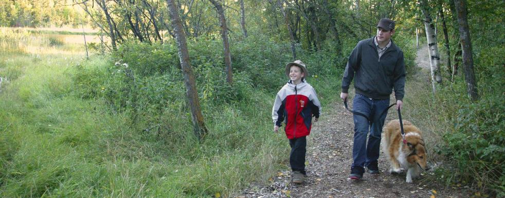 Father and Son Walk Their Collie on a Nature Trail
